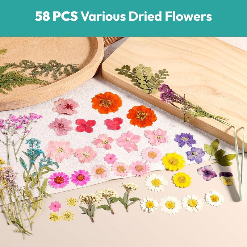Resiners Dried Flowers, 58Pcs Pressed Flowers for Craft Pink Real Natural Dried Flowers Dry Leaves Kit for DIY Making Crafts Resin Soap Candle Scrapbook Supplies Card Making Jewelry - Image 2